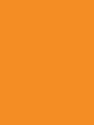 0011-a4-web-1717578344gf3f4.jpg 0011 Mandarin