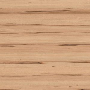 0047 Wild Beech