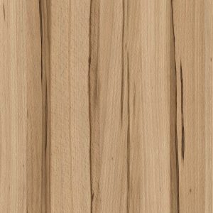 0047 Wild Beech