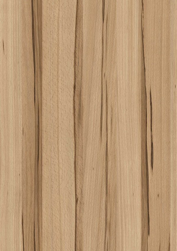 0047 Wild Beech
