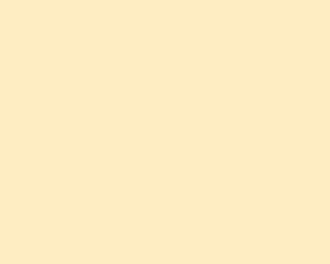 0065-platte-web-1742991090hxjhv.jpg 0065 Ivory