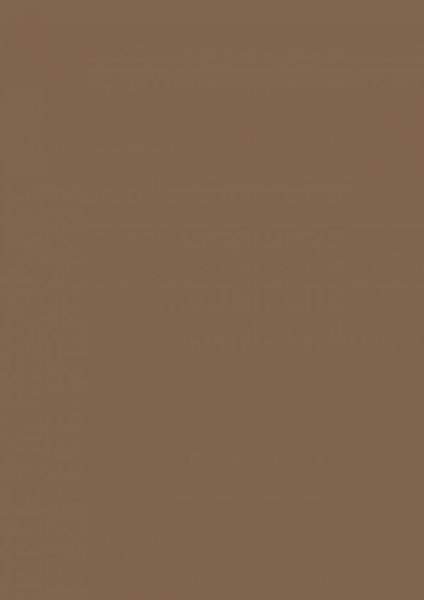 0153-burano-caramel-hpl-fundermax-1681979255dr2pv.jpg 0153 Burano