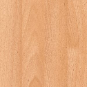0157 Obir Beech