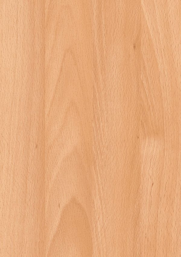 0157 Obir Beech