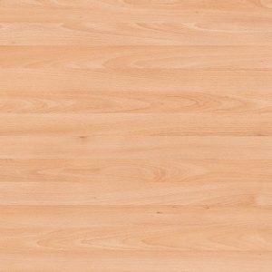 0157 Obir Beech