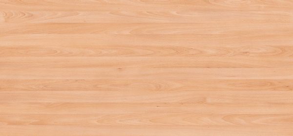0157 Obir Beech