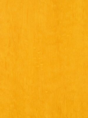 0162 Afro Sahara