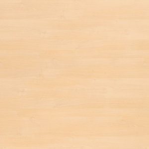 0171 Tundra Birch