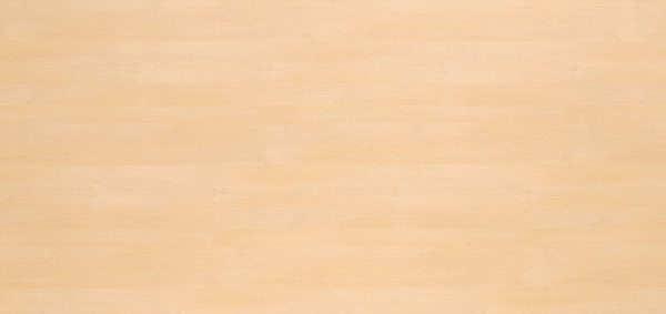0171 Tundra Birch