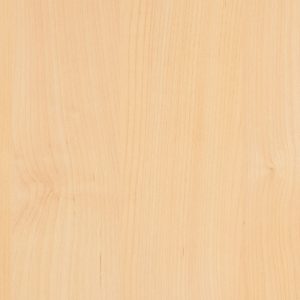 0171 Tundra Birch