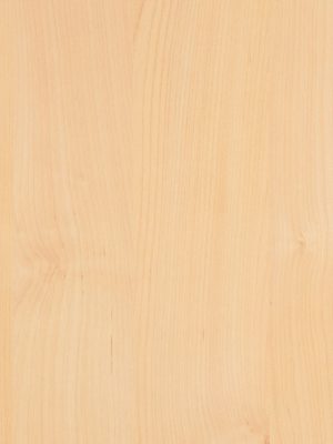 0171-tundra-birch-hpl-fundermax-f-1671116385s7yok.jpg 0171 Tundra Birch