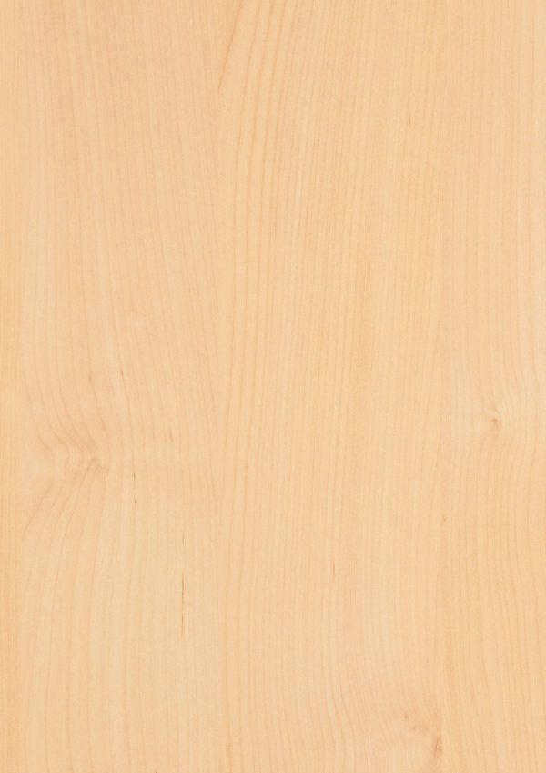 0171 Tundra Birch