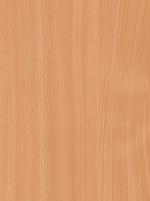 0291 Beech II