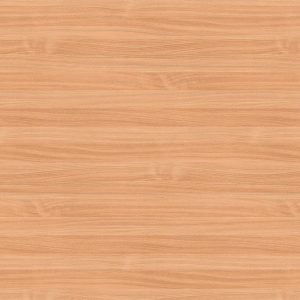 0291-platte-web-1743767038r9egm.jpg 0291 Beech II