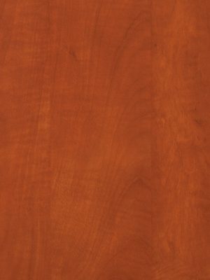 0601 Sun Pear