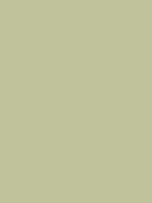 0611-pale-olive-hpl-fundermax-1671130517bgyxn.jpg 0611 Pale Olive