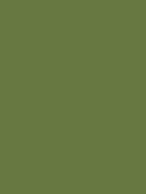 0612-oliv-hpl-fundermax-f-1671130642gqwgc.jpg 0612 Oliv