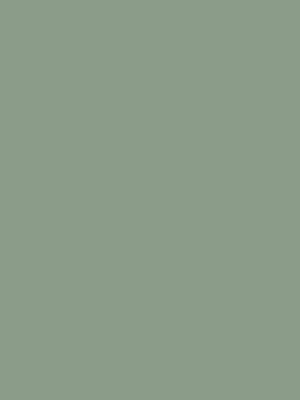 0662-jade-green-hpl-fundermax-f-1671135273vd8jw.jpg 0662 Jade Green