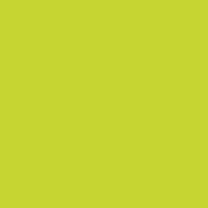 0725-platte-web-1743085281a5sib.jpg 0725 Yellowish Green