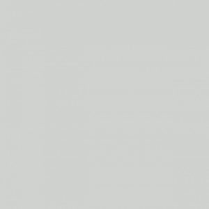 0730 Ash Grey