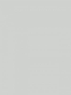 0730-ash-grey-hpl-fundermax-f-1671137058abquj.jpg 0730 Ash Grey