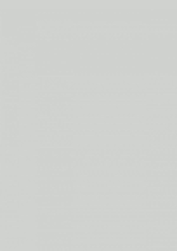 0730 Ash Grey
