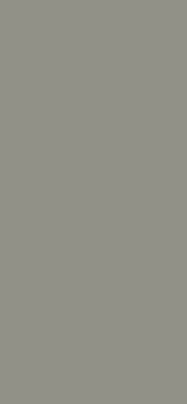 0747-platte-web-1743085886v8her.jpg 0747 Medium Grey