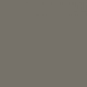 0755 Warm Grey Dark