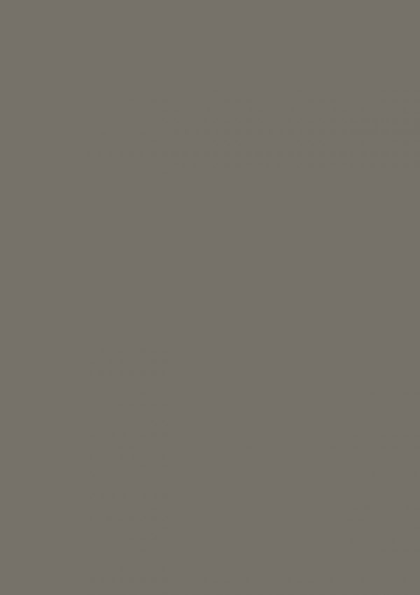 0755 Warm Grey Dark