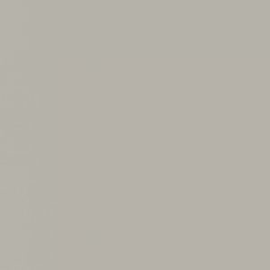 0756 Warm Grey Medium