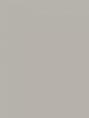 0756 Warm Grey Medium