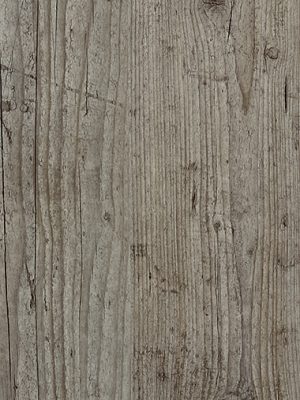 0801 Fir Platinum