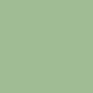 0849-platte-web-1743163927fpk1p.png 0849 Frosted Green