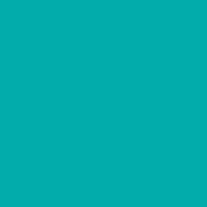0876-platte-web-1743168991k2jo0.jpg 0876 Frosted Teal