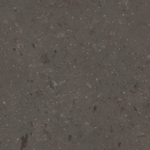 0902 Black Stingray Limestone