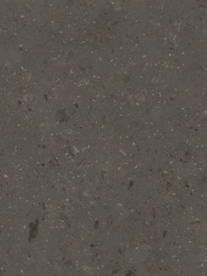 0902 Black Stingray Limestone