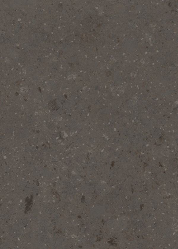 0902 Black Stingray Limestone