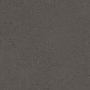 0902 Black Stingray Limestone