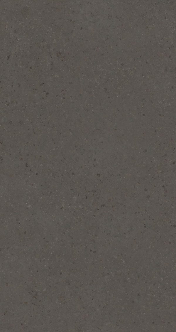 0902 Black Stingray Limestone