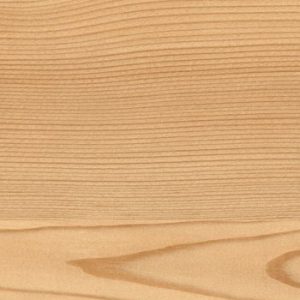 0913 Natural Lakeside Larch