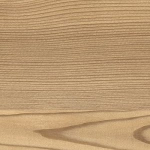 0914 Brown Lakeside Larch
