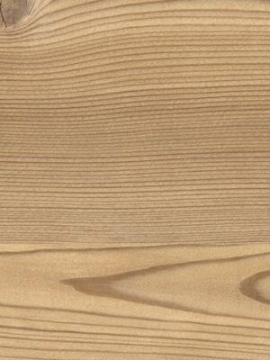 0914 Brown Lakeside Larch