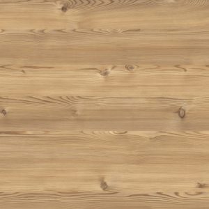 0914 Brown Lakeside Larch