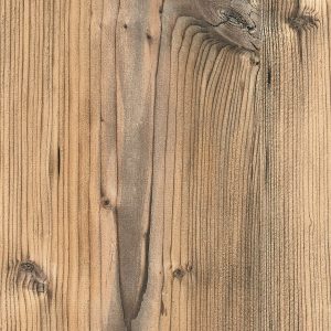 0921 Brown Silver Fir