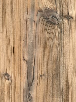 0921 Brown Silver Fir