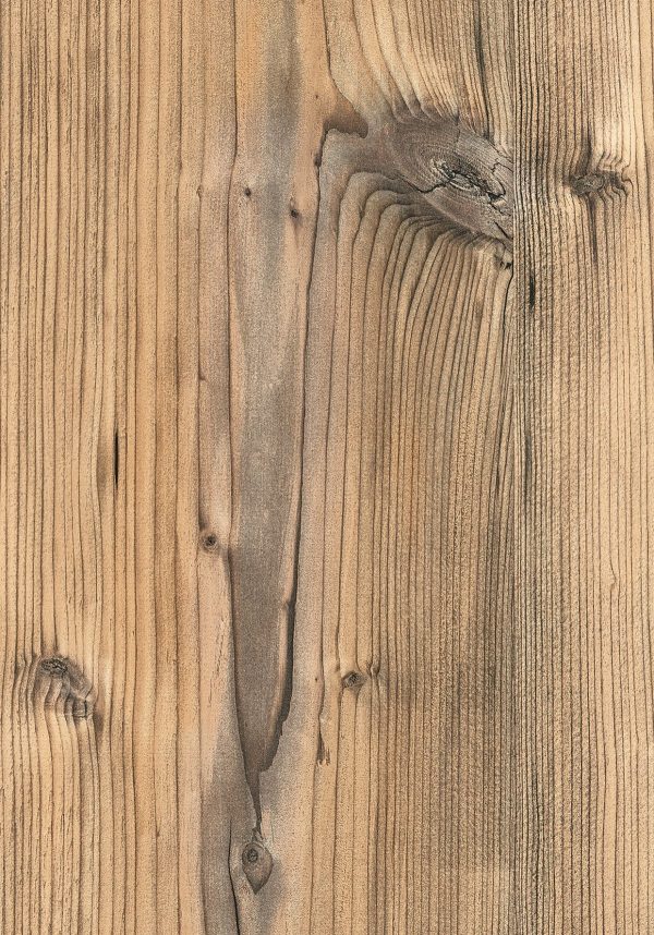 0921 Brown Silver Fir
