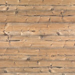 0921 Brown Silver Fir