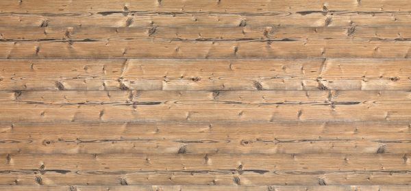 0921 Brown Silver Fir