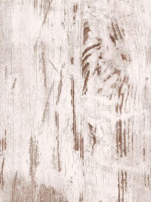 0929 Antique