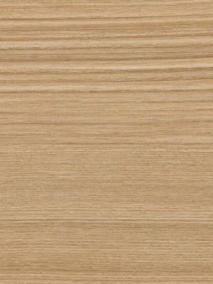 0960-caramel-libretto-ash-hpl-fundermax-1698220605t7nta.jpg 0960 Caramel Libretto Ash